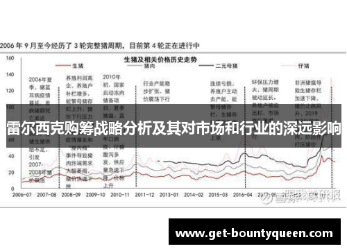 雷尔西克购筹战略分析及其对市场和行业的深远影响